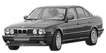 BMW E34 C222C Fault Code